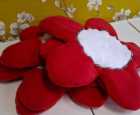 IMG-20250302-WA0013