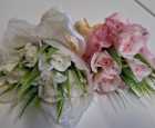 IMG-20250302-WA0024